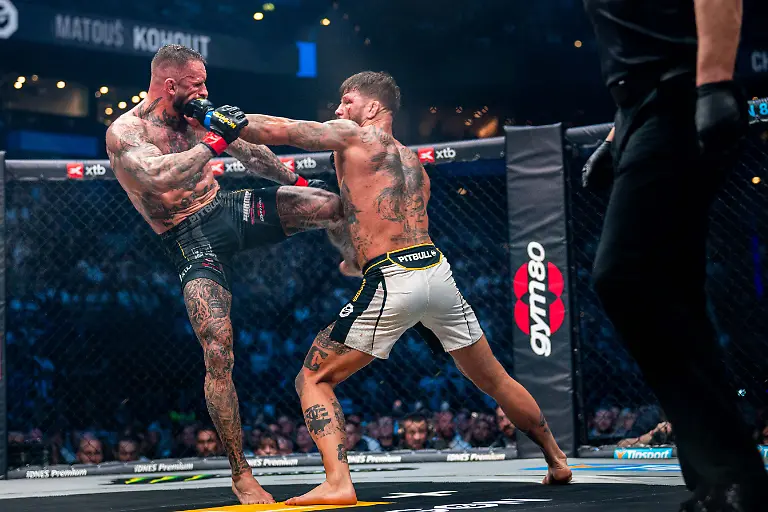 eckerlin kohout-8437